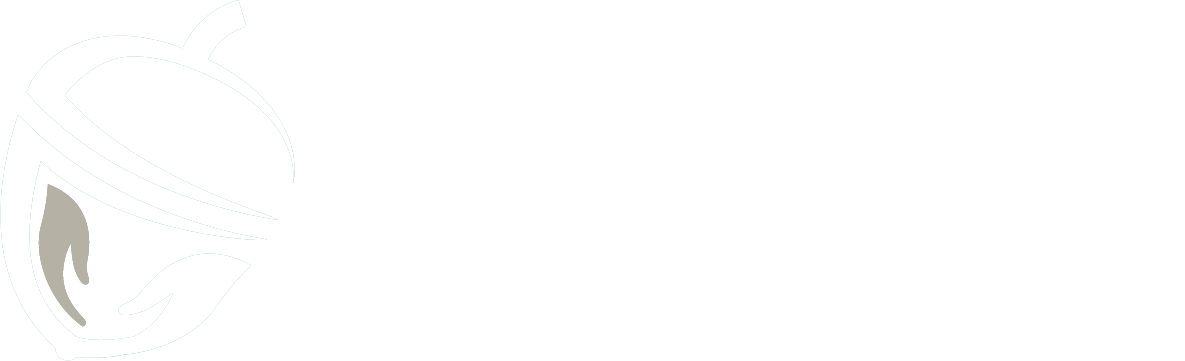 Acorns Health Care Hampshire